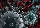 Peneliti Klaim Virus Corona dan HIV Punya Cara yang Sama Menghindari Pertahanan Imun Tubuh